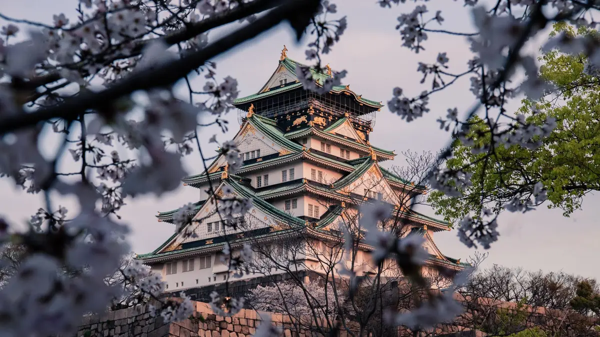 Osaka Castle seen through cherry blossom branches in spring
